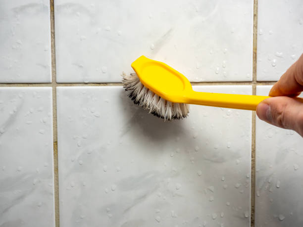 Best Emergency Mold Removal  in Pinehurst, MA